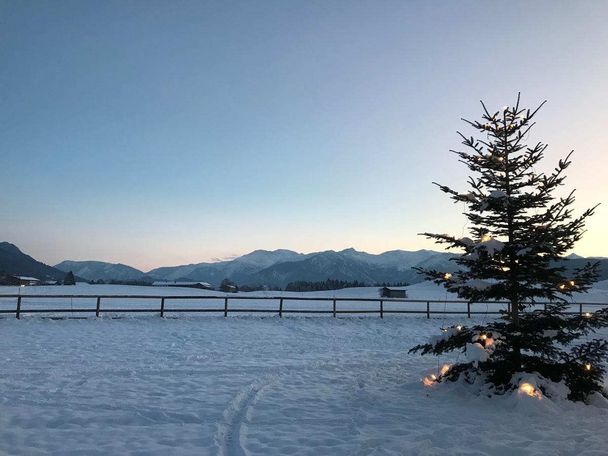 Hotel Landgasthof Alter Wirt Fischbachau Dış mekan fotoğraf